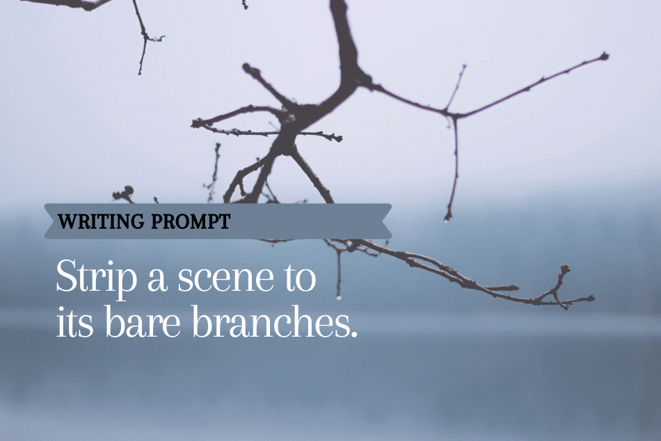 Writing Prompt: Bare Branches