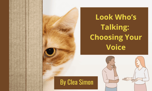 Choosing Your Voice