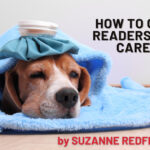 How to Get Readers to Care